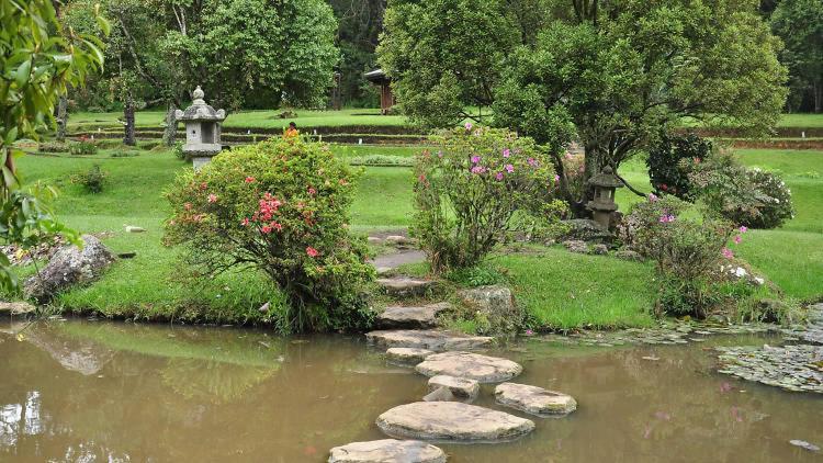 Avenue Nuwara Eliya Lägenhet Exteriör bild